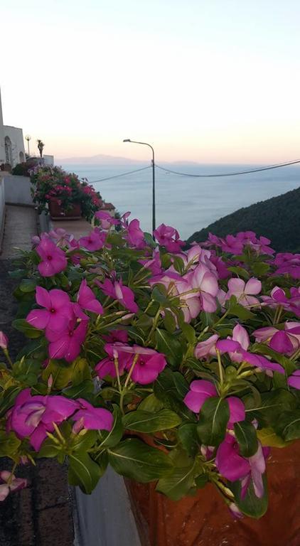 Le Terrazze Di Cristina Vietri Exterior foto