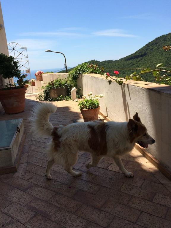 Le Terrazze Di Cristina Vietri Exterior foto