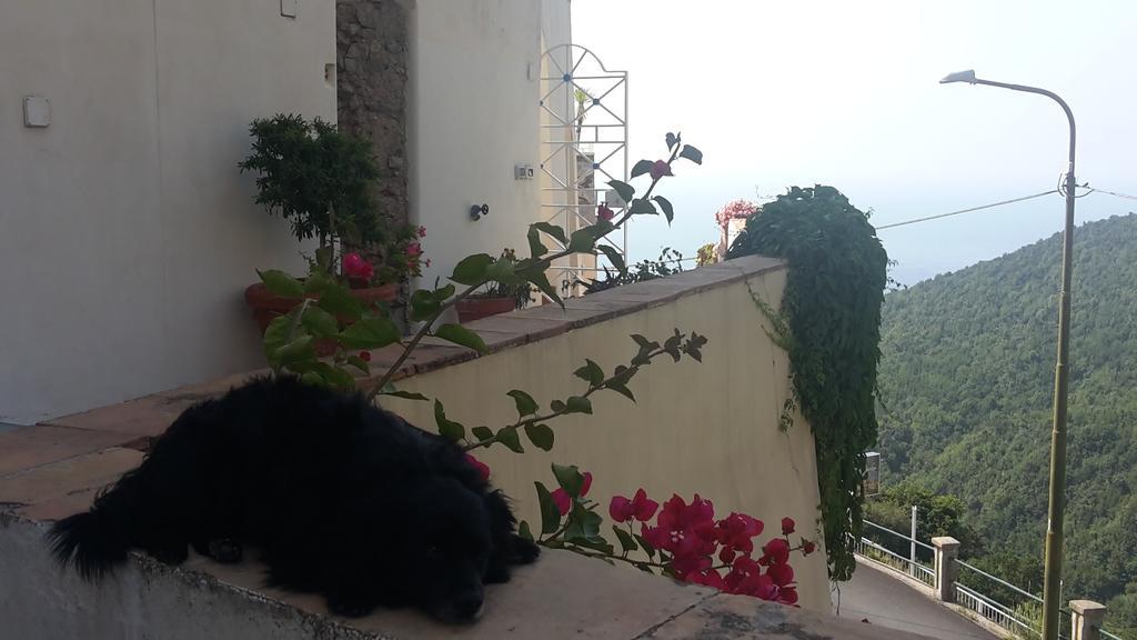 Le Terrazze Di Cristina Vietri Exterior foto