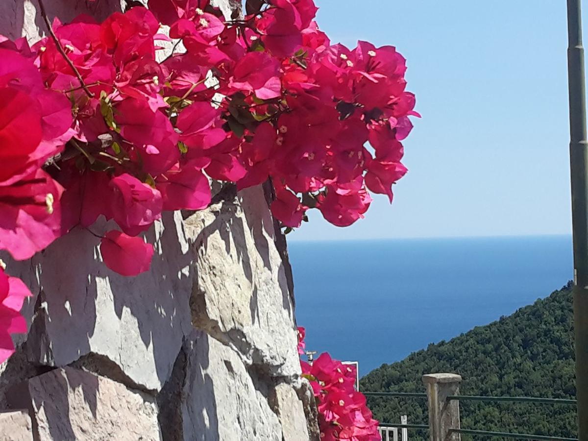 Le Terrazze Di Cristina Vietri Exterior foto