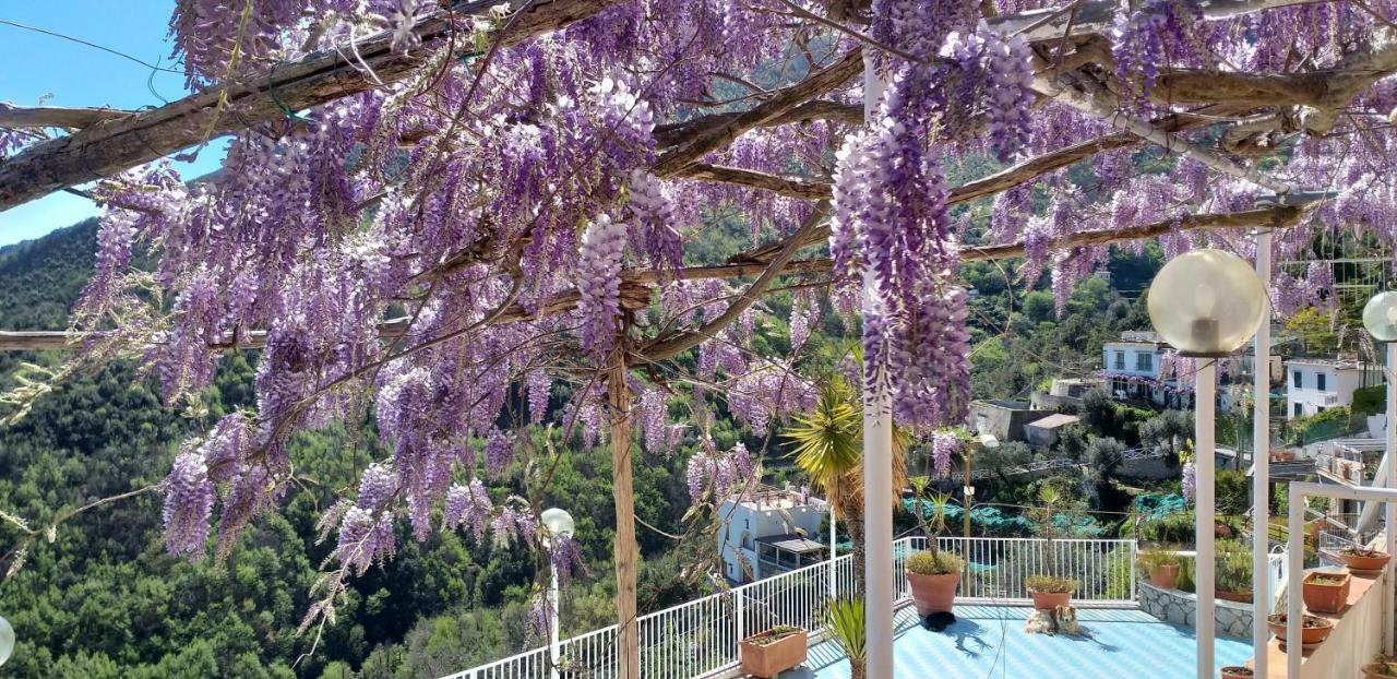 Le Terrazze Di Cristina Vietri Exterior foto